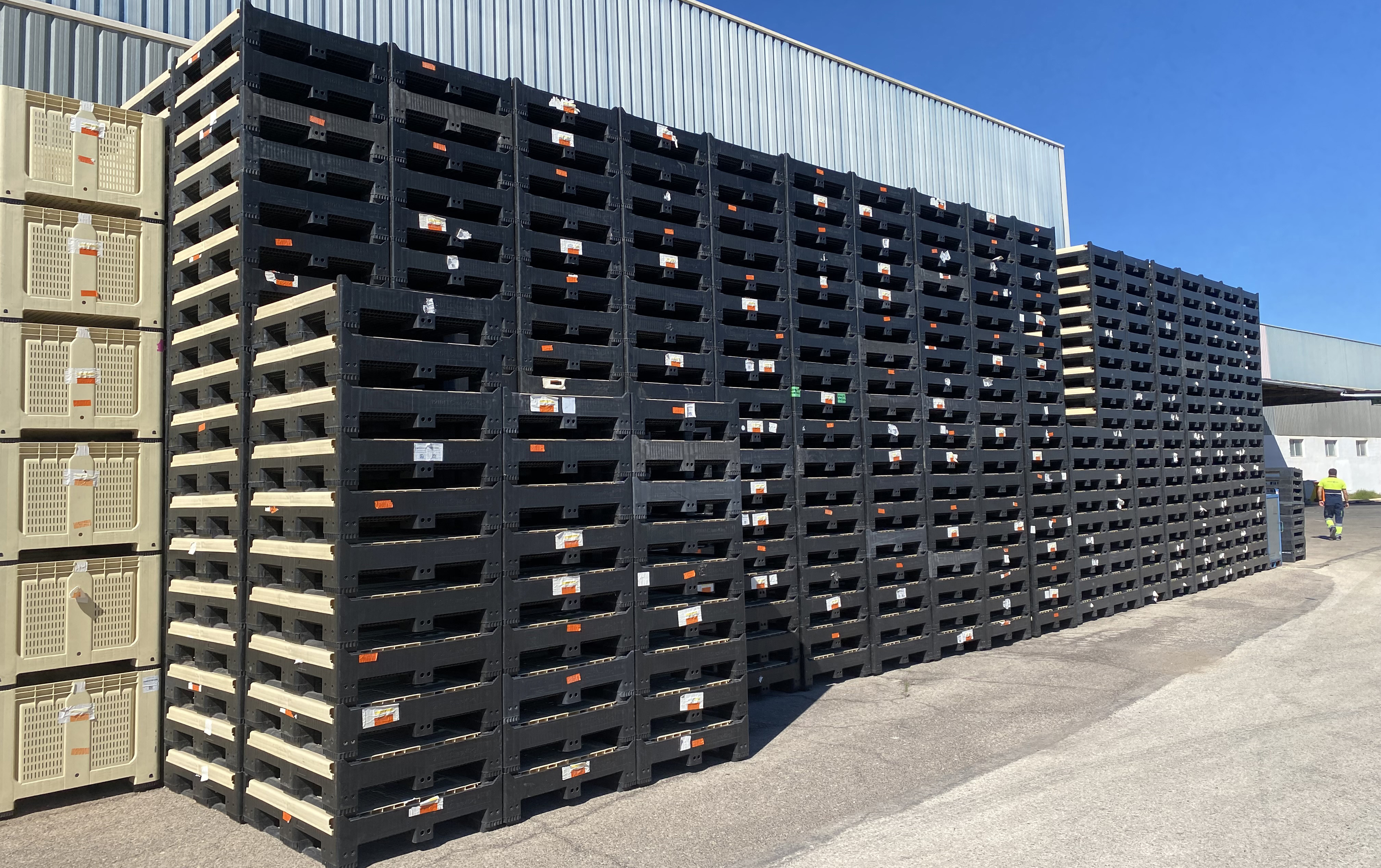 Le marché des emballages réutilisables est en plein essor : prévisions de croissance durable.